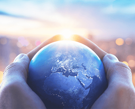 台湾宾果28资本